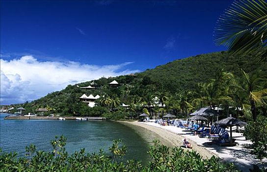 游艇俱乐部,维京果岛,岛屿,英属维京群岛,加勒比海