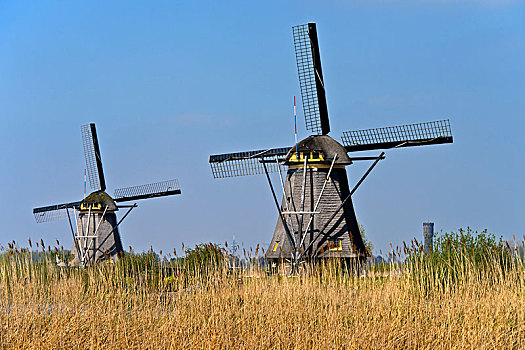 两个,荷兰,风车,世界遗产,小孩堤防风车村,圩田,荷兰南部,欧洲