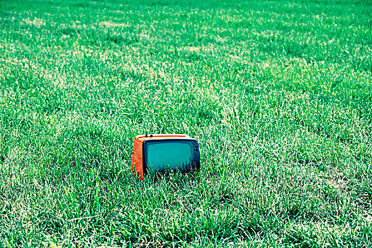电视,草坪