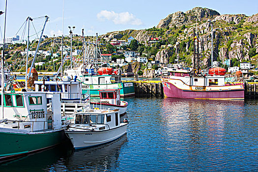 渔船,停靠,港口,背景,纽芬兰,加拿大