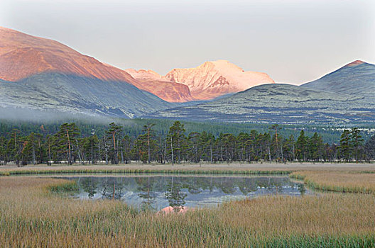 湿地,风景,脚,山峦,国家公园,挪威,欧洲