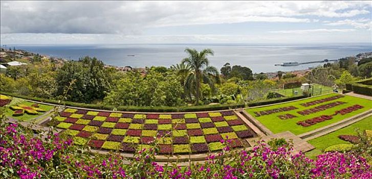 植物园,丰沙尔,马德拉岛,葡萄牙