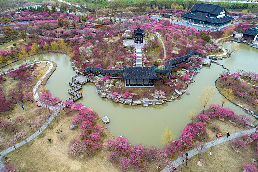 江苏省盐城市大丰区梅花湾景区