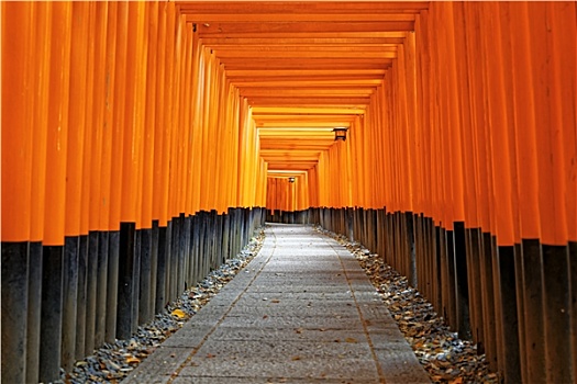 伏见,稻成,神祠,京都,日本