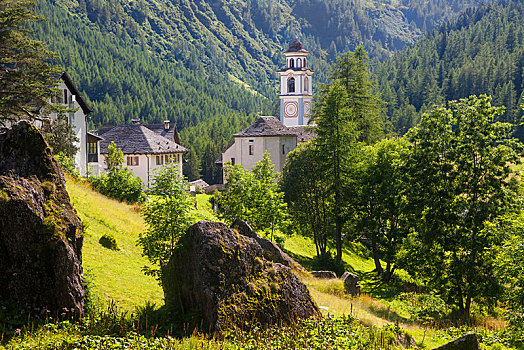 教堂,风景,乡村,提契诺河,瑞士,欧洲