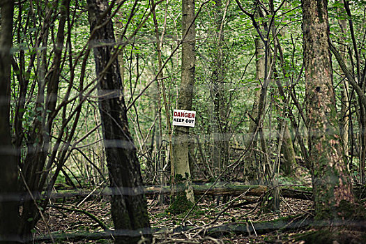 危险,禁止入内,标识,树上,树林,肯特郡,英格兰
