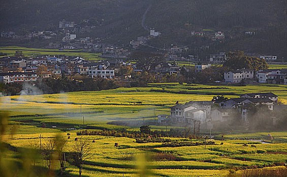 万峰林风光