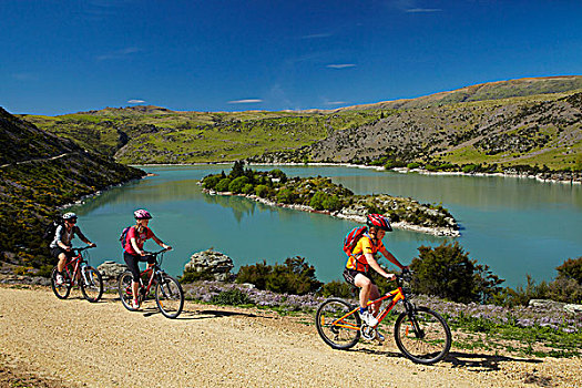 山地车手,湖,峡谷,自行车,走,中心,奥塔哥,南岛,新西兰