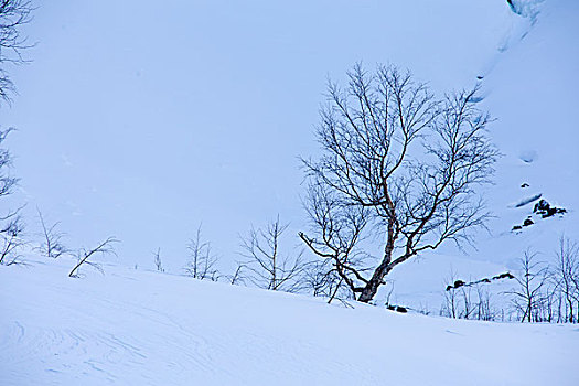 长白山风景区