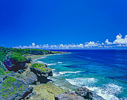 海洋,夏天