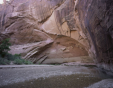 石头,脸,峡谷,边界,美国