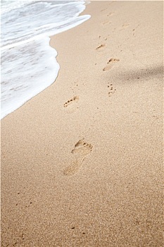 脚印,左边,沙子,黑海