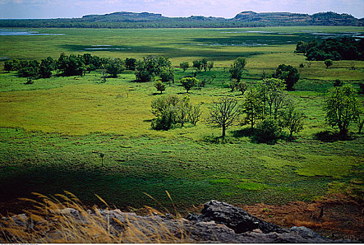 风景,卡卡杜国家公园,北领地州,澳大利亚