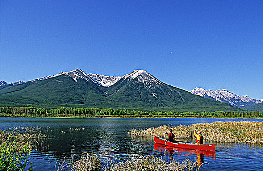 独木舟,维米里翁湖,背景,班芙国家公园,艾伯塔省,加拿大