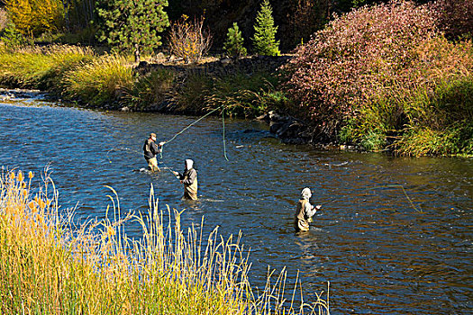 钓鱼,秋天,河,俄勒冈,美国