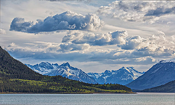 下午,云,上方,育空,海岸山脉,湖,加拿大