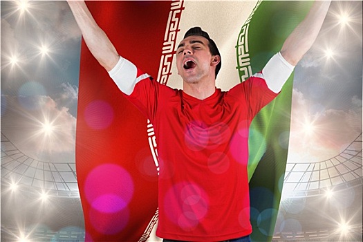 兴奋,球迷,欢呼,拿着,伊朗,旗帜,大,足球场,多云,蓝天