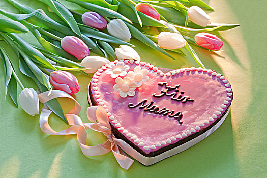 粉色,蛋糕,文字,毛皮,母亲,母亲节,花