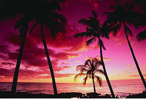 坡伊普,海滩,日落,考艾岛,夏威夷,美国