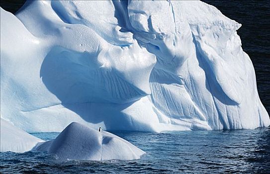 南极,南极半岛,乐园,港口,冰山,彩色,形状