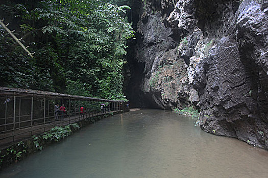 广西南宁通灵大峡谷植物暗河,米瀑布和奇特瀑布