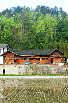 贵州凤冈,山村静美