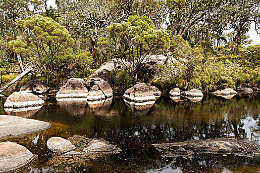 花冈岩,石头,漂石,富兰克林,河,西澳大利亚州
