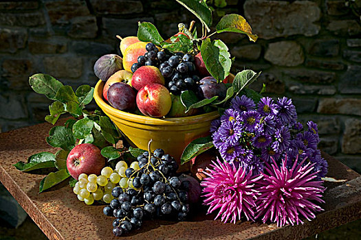 季节,静物,种类,秋天,水果,黄色,碗,紫苑属,大丽花,花