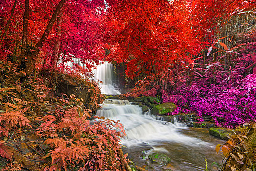 漂亮,瀑布,雨林,山,泰国,蒙河