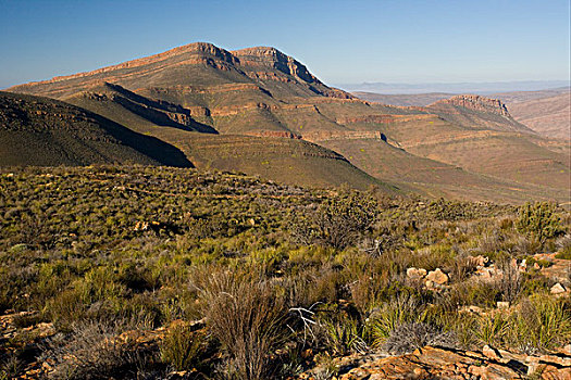 风景,山峦,荒野,区域,西海角,南非