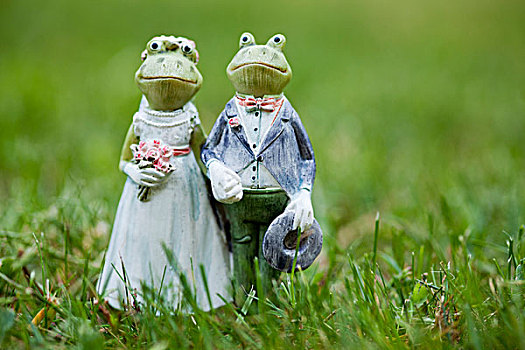 青蛙,小雕像,婚礼,伴侣,草丛