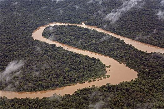 河,弯曲,雨林,亚马逊盆地,秘鲁