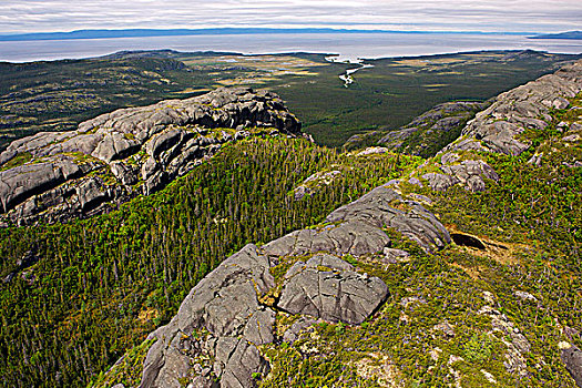 岩石,风景,山峦,荒野,南方,拉布拉多犬,纽芬兰,加拿大