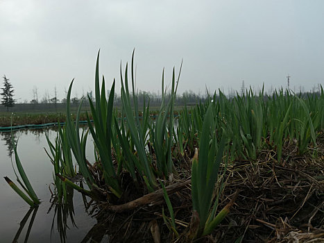 西安鹤鸣湖公园