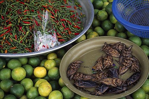 辣椒,柠檬,烤,昆虫,市场,普吉岛,泰国,东南亚