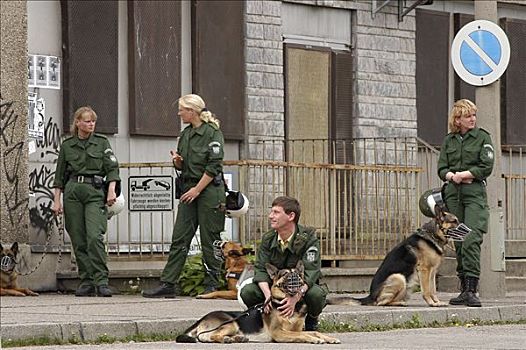 警察,狗,休息,德国牧羊犬