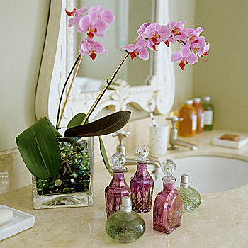 粉色,兰花,玻璃花瓶,种类,盥洗盆