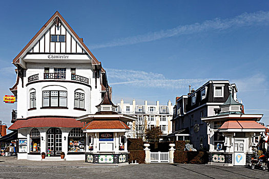酒店,复杂,历史,亭子,西佛兰德省,比利时,欧洲