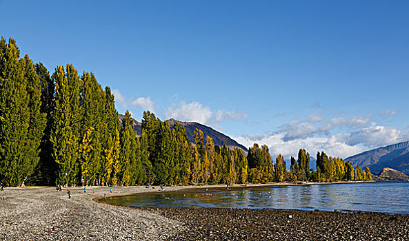 新西兰瓦纳卡湖