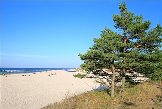 风景,海滩