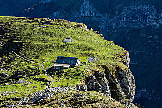 高山,展示,石头,阿彭策尔,阿尔卑斯山,瑞士,欧洲