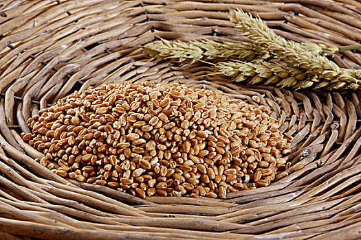 小麦,颗粒,麦穗