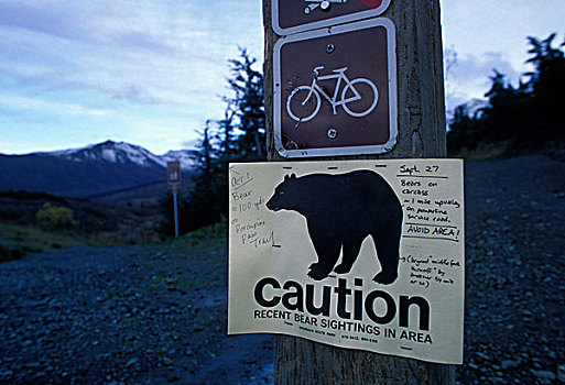 美国,阿拉斯加,楚加奇州立公园,标识,黑熊,美洲黑熊,小路,靠近,安克里奇