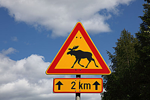芬兰,区域,南方,路标,麋鹿