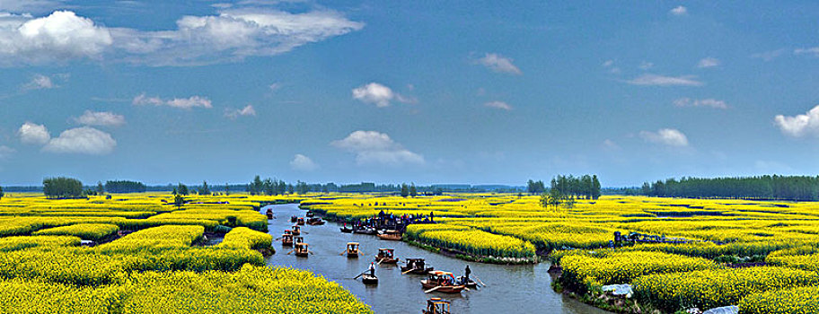 江苏省兴化市垛田油菜花自然生态景观