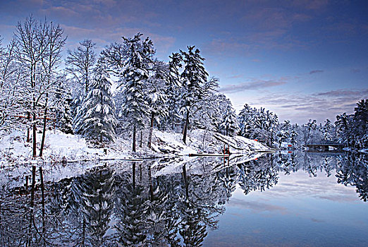 早,冬天,展示,河,阿尔冈金公园,安大略省,加拿大