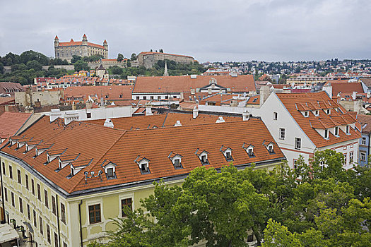 老城,布拉迪斯拉瓦,城堡,背景,斯洛伐克