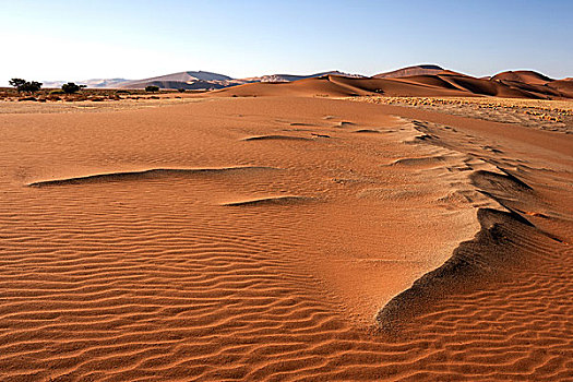 沙丘,索苏维来地区,纳米布沙漠,纳米比沙漠,公园,纳米比亚,非洲