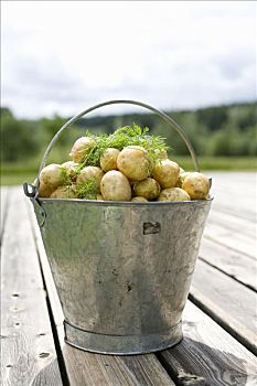 罐头,桶,满,土豆,瑞典