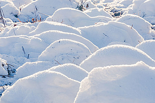 冬季坝上雪地雪馒头